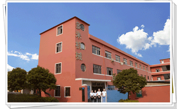 多米機械:改變世界新動力，革新行業(yè)新格局